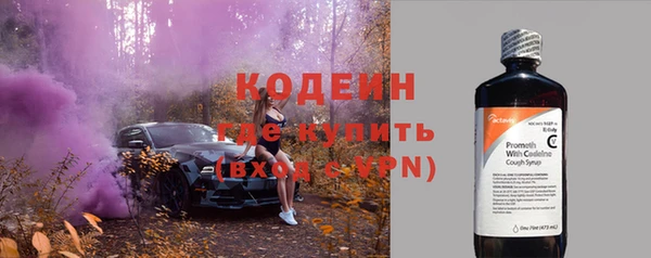 гашик Новодвинск