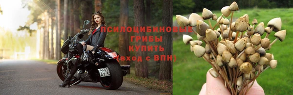 мет Новокубанск