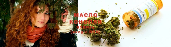 гашик Новодвинск