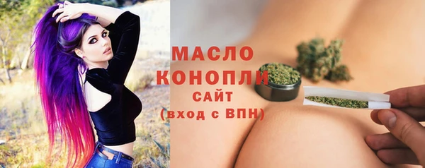 гашик Новодвинск