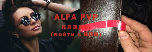 шишки Новозыбков