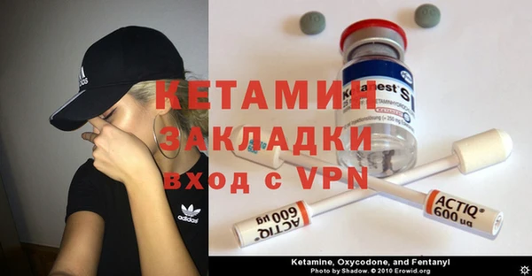 шишки Новозыбков