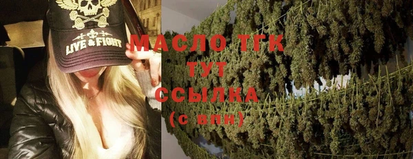 шишки Новозыбков