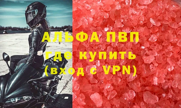 шишки Новозыбков