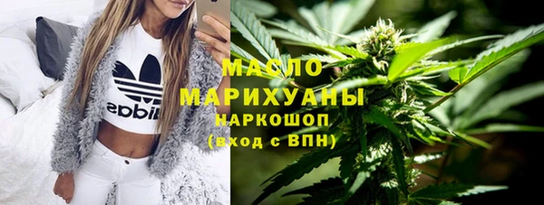 гашик Новодвинск