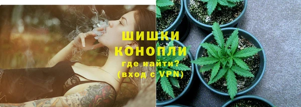 шишки Новозыбков