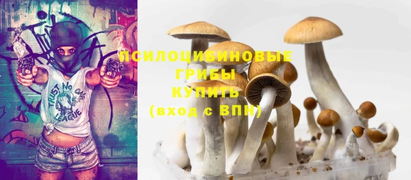 шишки Новозыбков