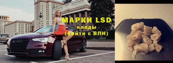 шишки Новозыбков