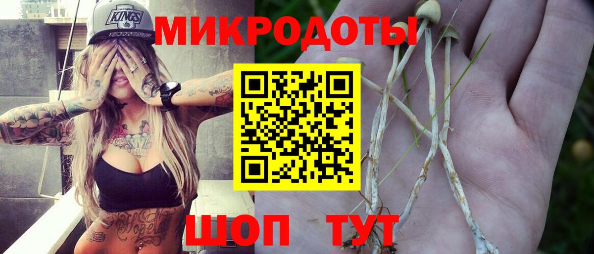 Псилоцибиновые грибы прущие грибы  Вход с VPN  Галлюциногенные грибы GOLDEN TEACHER  Сердобск 